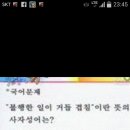 초등학생 사자성어. 이미지