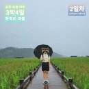 녹황우식당 | [3박4일 💚순천-보성-여수💚 뚜벅이여행 2일차] 비 바람 휘날리며~ 흩날리는 갈댓잎이~🌪🌧🌾🌱
