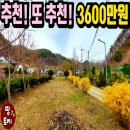 여주-0423 네이버블로그