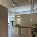 레푸스&슈필라움네일