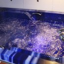 엘도라풀빌라펜션 이미지