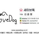 세이브독 이미지