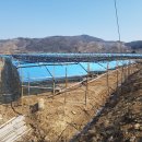 여주-1038 이미지