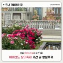 (주)에버랩 | 2026 용인 에버랜드 장미꽃 300만송이 장미축제 기간 및 장미원 방문후기
