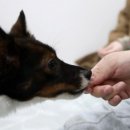 이연우농장 이미지