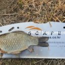 이현소류지 이미지