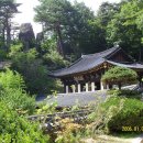 대자연횟집 이미지