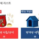 하멜애견미용학원