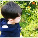 홍지농장 이미지