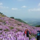 합천한의학박물관 이미지