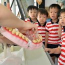 용인대 꿈나래 태권도 이미지