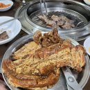 마포최대포숯불갈매기