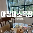 면미소 | 제주아이와가볼만한곳 우유디저트와 귀여운 소 먹이주기 &#34;아침미소목장&#34;후기