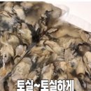 통영생굴 Daum카페