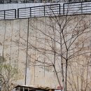 안녕 멍멍아 이미지