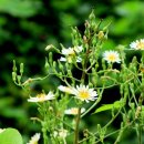 송림황토참숯굴찜질방 이미지