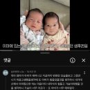 메이숑 네이버블로그
