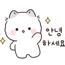 하동물병원 이미지