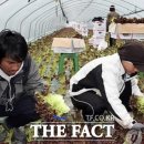 청도군-2 이미지