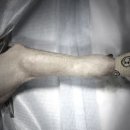 속초삼성동물병원 이미지