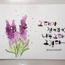 수채 캘리그라피(A) 이미지