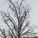 풍산1리 이미지