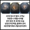 허남현내과의원 이미지
