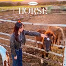 백마농장 | 제주 '말방목공원' 무료 말농장 추천 | 제주 가볼 만한 곳