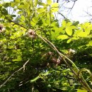 무봉농장 이미지