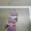 오케이셀프크리닝 이미지