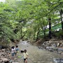 강당골캠핑파크 이미지