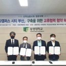 메타에듀 이미지