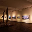 자연사랑 미술관 이미지