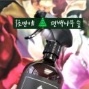 솔향이 진한 | 새숲솔향편백수 피톤치드로 냄새 덮지 말고 없애세요