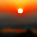 다함행정사사무소 이미지