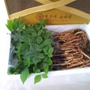 인삼농장 이미지