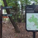 봉제산 등촌동 숲속놀이터 이미지