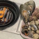 비비오네 이미지