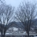 청마농장 이미지