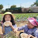 땅콩축산 이미지