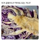 이거 곰팡이임? 먹어도 되는거? 이미지