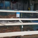 부두횟집 이미지