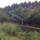 남원읍-88 이미지