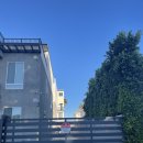 레몬이네민박 이미지