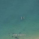 커피라이트