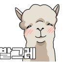 오버뎁스 이미지