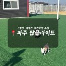 호텔본 | [파주 애견호텔] 탑플라이트 애견호텔 맡겨본 솔직 후기