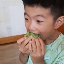 금오암소한마당 네이버블로그