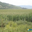 광동농장 이미지