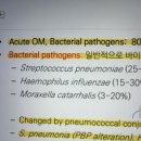 합동약국 | 이것저것 시월 until bd